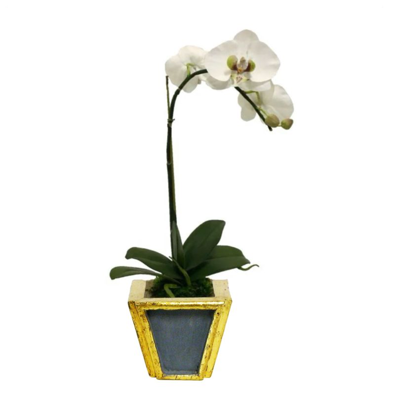 [WXSP-DG-ORGR Wooden Small Container Dark Grey Blue & Gold - White & Green Orchid Artificial