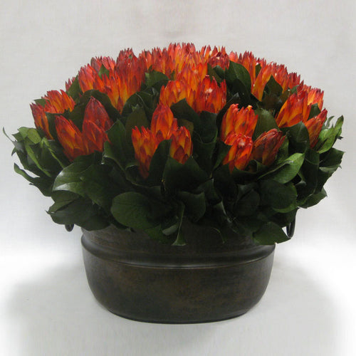Copper Oval Container - Protea