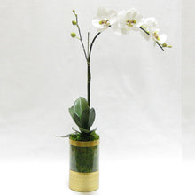 Load image into Gallery viewer, Cylinder Glass Vase Gold - White &amp; Green Orchid Artificial