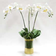 Load image into Gallery viewer, Cylinder Glass Vase Gold - White &amp; Yellow Orchid Artificial - 3 Stems