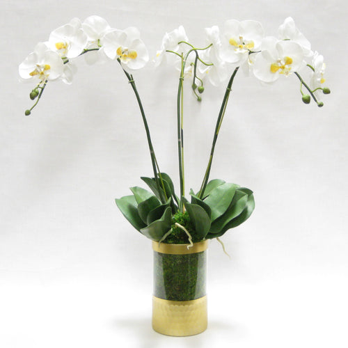 Cylinder Glass Vase Gold - White & Yellow Orchid Artificial - 3 Stems