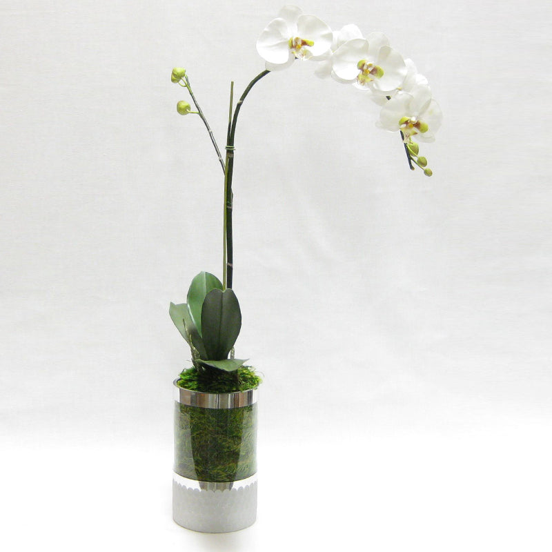 Cylinder Glass Vase Silver - White & Green Orchid Artificial