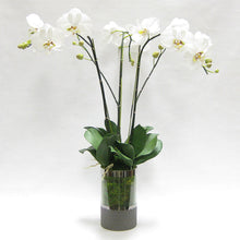 Load image into Gallery viewer, Cylinder Glass Vase Smoke - White &amp; Green Orchid Artificial - 3 Stems