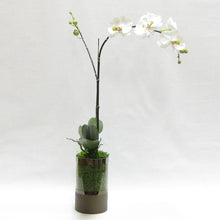 Load image into Gallery viewer, Cylinder Glass Vase Smoke - White &amp; Green Orchid Artificial