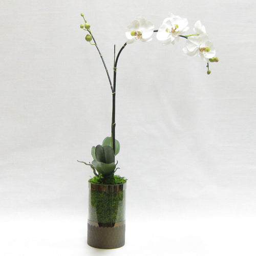 Cylinder Glass Vase Smoke - White & Green Orchid Artificial