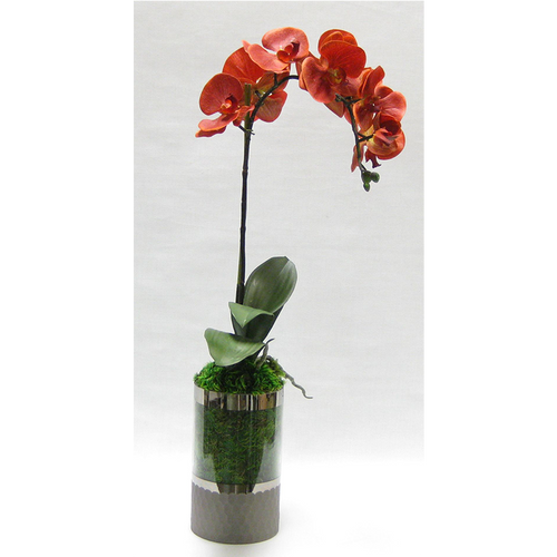 Cylinder Glass Vase Smoke - Orange Orchid Artificial