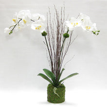 Load image into Gallery viewer, Drop in White &amp; Yellow Double Orchid Artificial in Moss Pot
