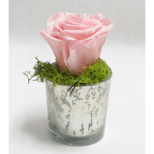 Mercury Glass Votive - Reindeer Moss & Rose Pink