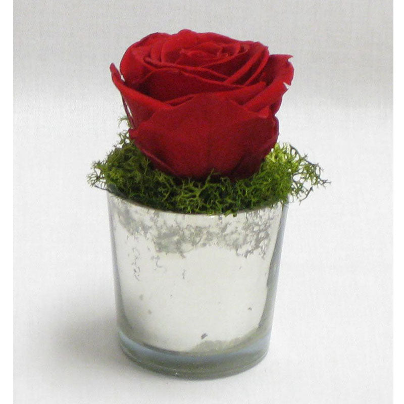 Mercury Glass Votive - Reindeer Moss & Rose Red