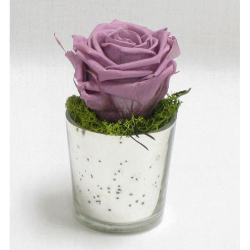 Mercury Glass Votive - Reindeer Moss & Rose Violet
