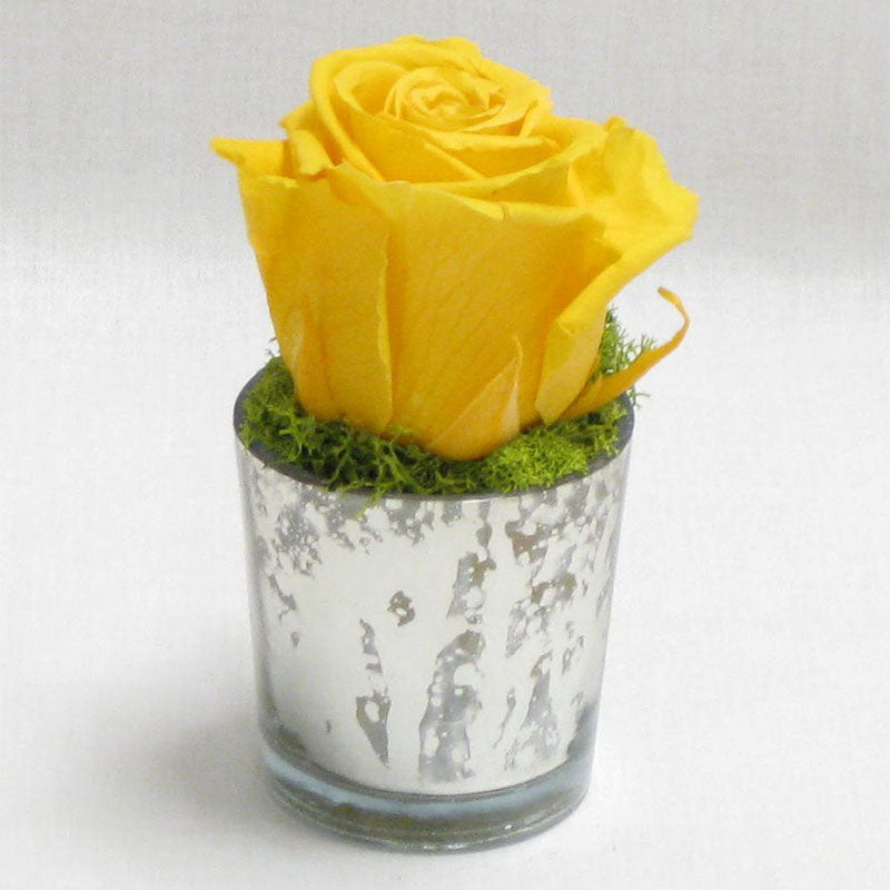 Mercury Glass Votive - Reindeer Moss & Rose Yellow