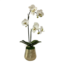 Load image into Gallery viewer, Gold Metal Hammered Vase Large - White &amp; Green Double Orchid Artificial
