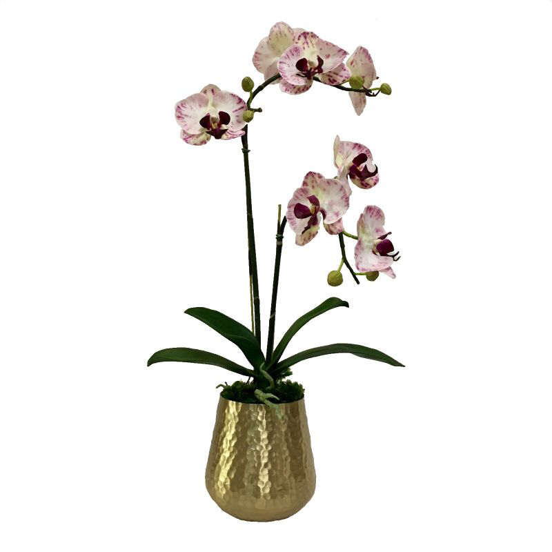 Gold Metal Hammered Vase Large - White & Purple Double Orchid Artificial