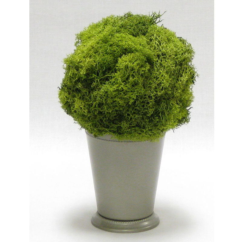 Julep Cup Pewter Metal - Reindeer Moss, Topiary Ball Basil