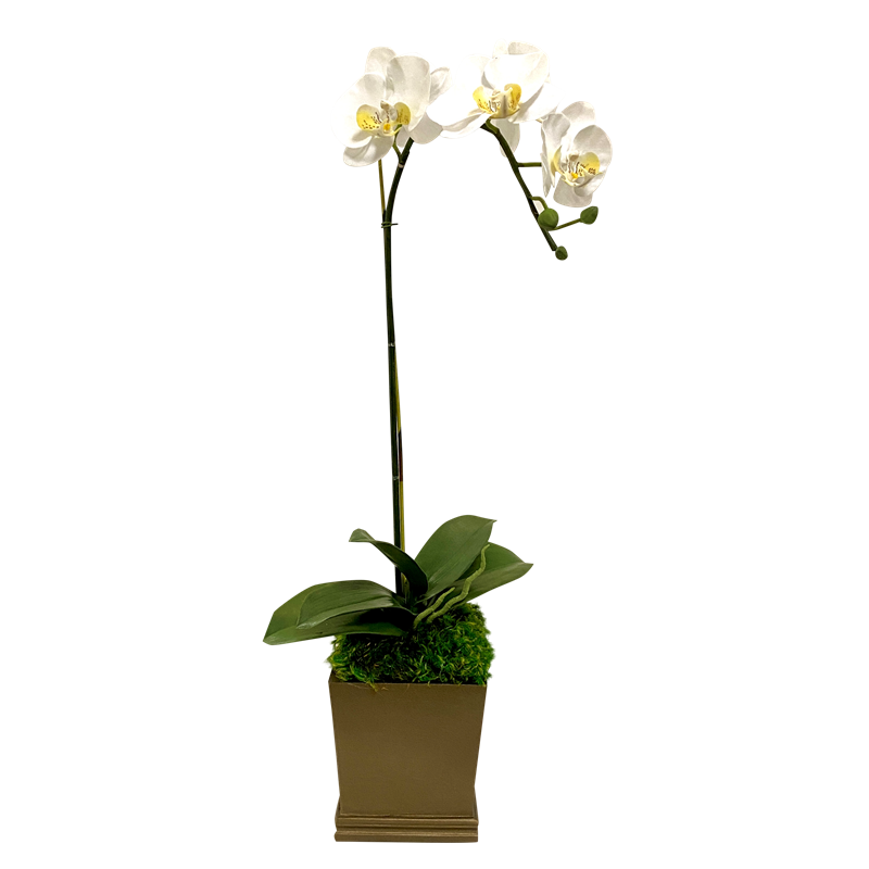 Resin Mini Square Container Bronze - Artificial Orchid White & Yellow