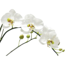 Load image into Gallery viewer, [WRPM-GS-ORGR] Wooden Medium Rect Container Grey Silver - White &amp; Green Orchid Artificial