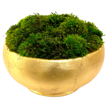 Load image into Gallery viewer, Resin Round Bowl Gold Leaf - Preserved Moss

