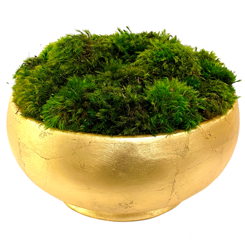 Resin Round Bowl Gold Leaf - Preserved Moss