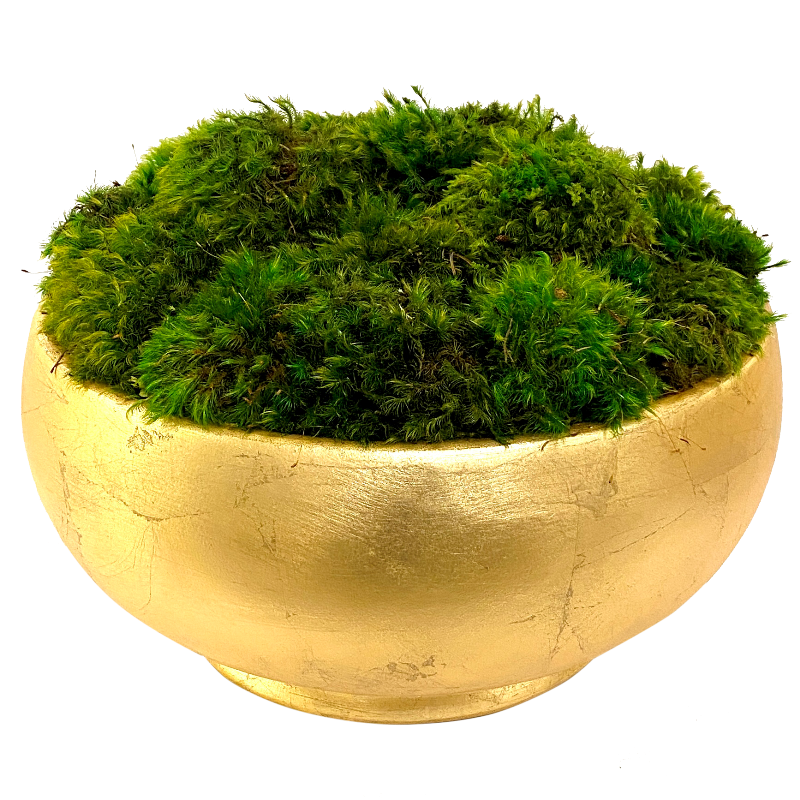 Live Mood Moss Bowl in Gold