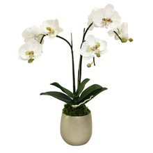 Load image into Gallery viewer, Resin Round Container Small Champagne Leaf - Double Orchid Green &amp; White Artificial
