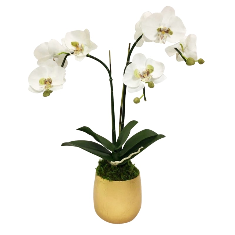 Resin Round Container Small Gold Leaf - Double Orchid Green & White Artificial
