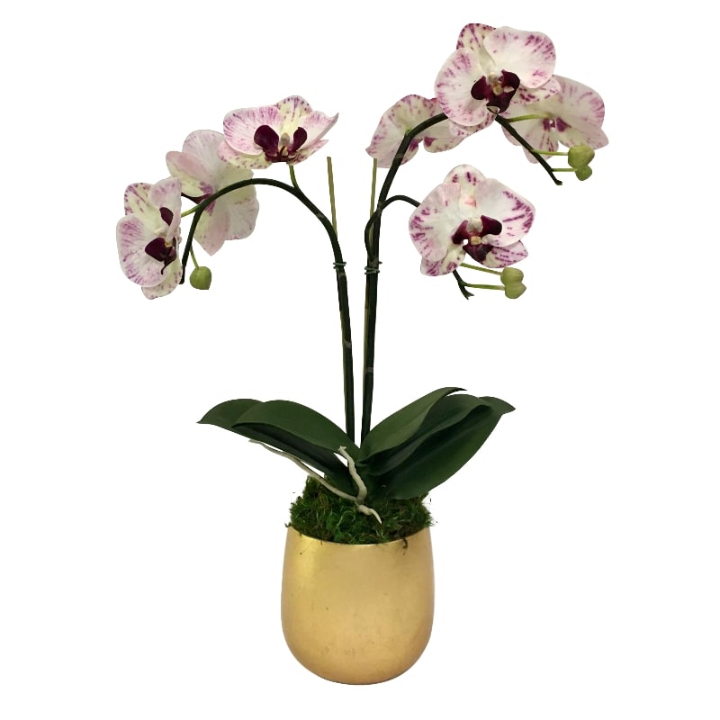 Resin Round Container Small Gold Leaf - Double Orchid Purple & White Artificial
