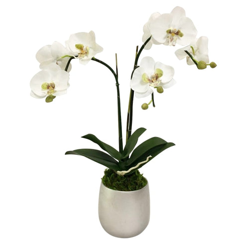 Resin Round Container Small Silver Leaf - Double Orchid Green & White Artificial