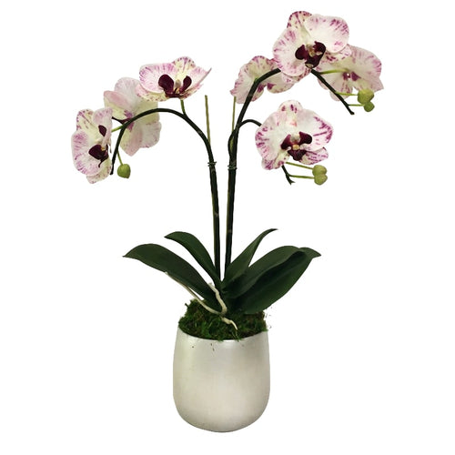 Resin Round Container Small Silver Leaf - Double Orchid Purple & White Artificial