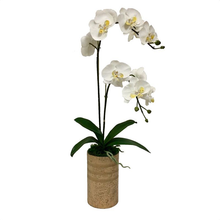 Load image into Gallery viewer, Gold Glass Vase Large - White &amp; Yellow Double Orchid Artificial
