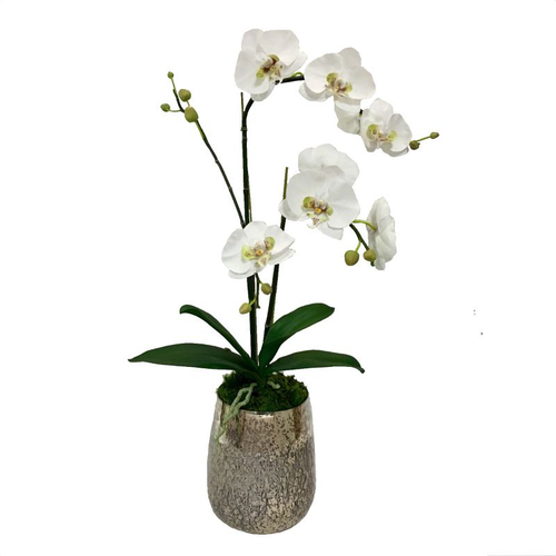 Round Glass Vase Hammered Large - White & Green Double Orchid Artificial