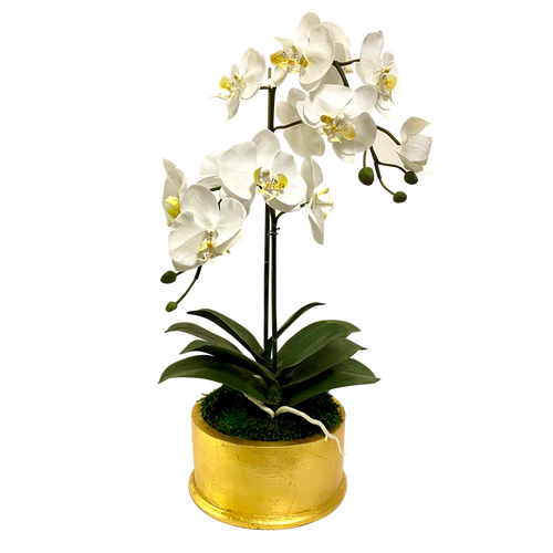 Round Container Gold Leaf - Artificial Orchid  White Yellow