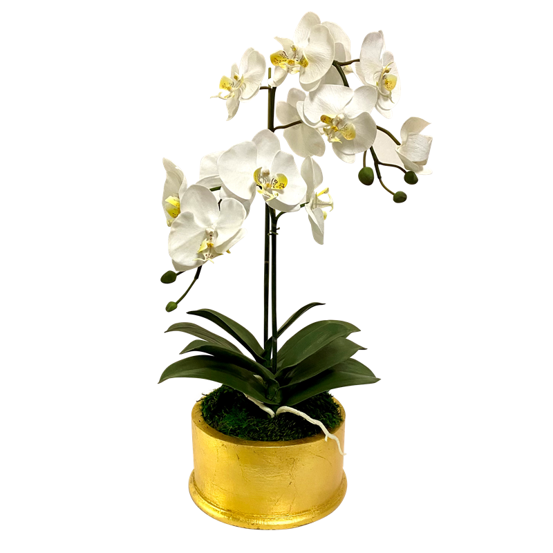 Round Container Gold Leaf - Artificial Orchid  White Yellow