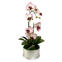 Load image into Gallery viewer, Round Container Silver Leaf - Artificial Orchid  Purple White