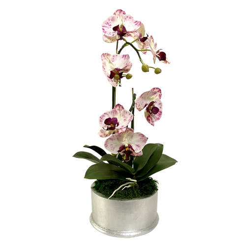 Round Container Silver Leaf - Artificial Orchid  Purple White