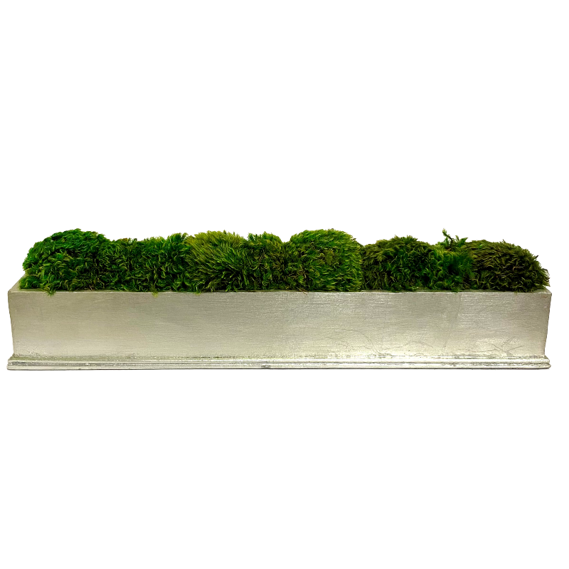 Rect Long Champagne Leaf Container - Moss