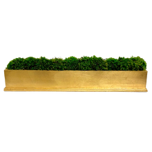 Load image into Gallery viewer, Rect Long Gold Leaf Container - Moss
