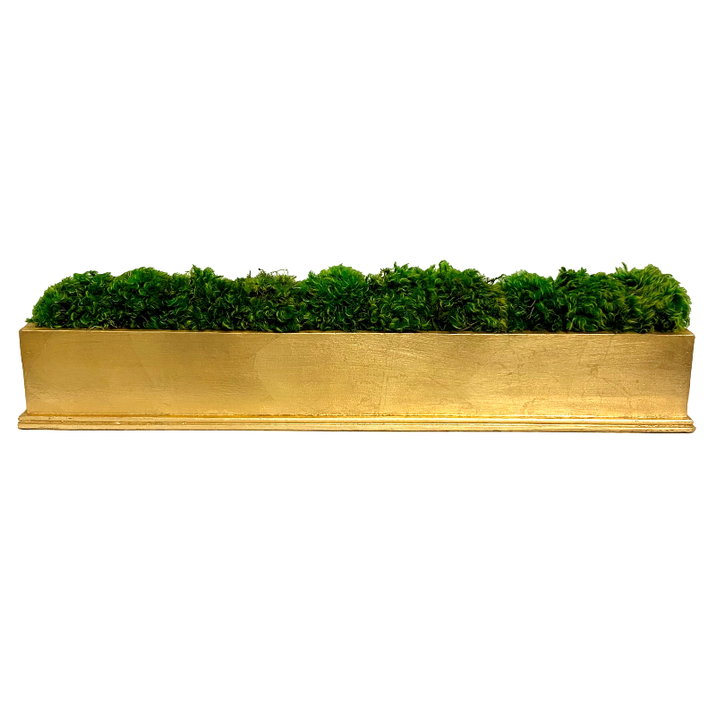 Rect Long Gold Leaf Container - Moss