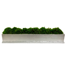 Load image into Gallery viewer, Rect Long Silver Leaf Container - Moss