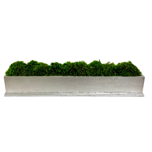 Rect Long Silver Leaf Container - Moss