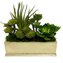 Load image into Gallery viewer, Small Rect Container Champagne Leaf - Succulents Green