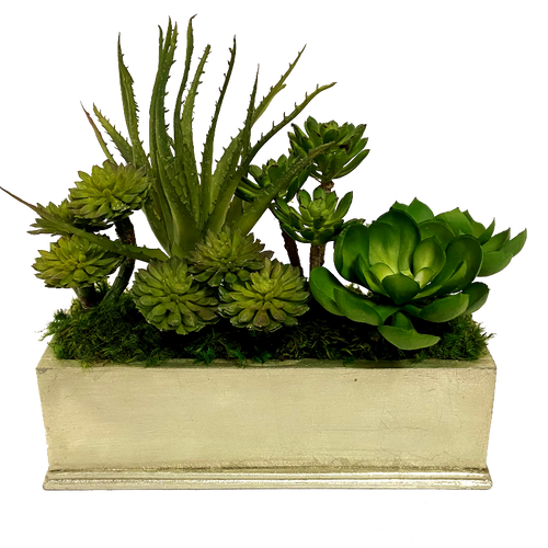 Small Rect Container Champagne Leaf - Succulents Green