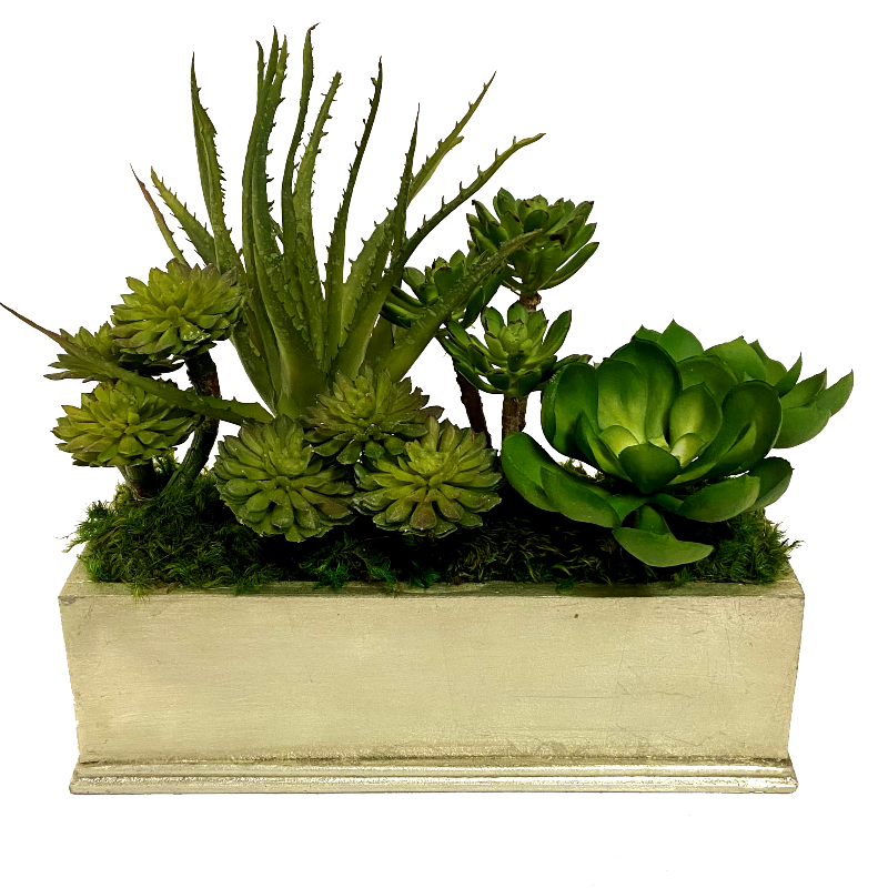 Small Rect Container Champagne Leaf - Succulents Green