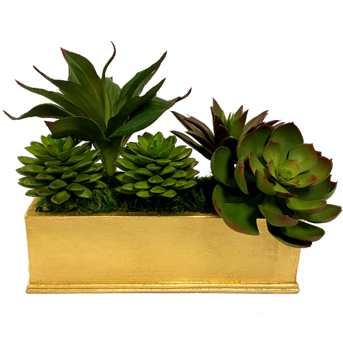 Small Rect Container Gold Leaf - Succulents Green Burgundy