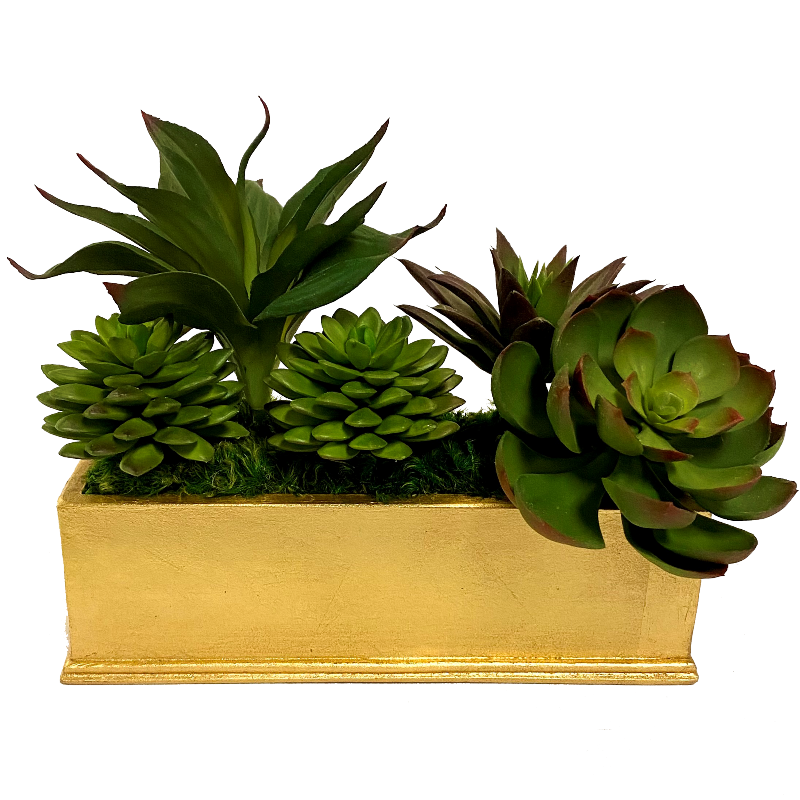 Small Rect Container Gold Leaf - Succulents Green Burgundy