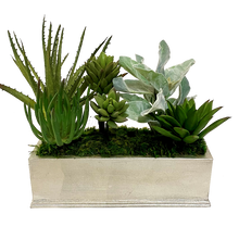 Load image into Gallery viewer, Small Rect Container Silver Leaf - Succulents Green Sage