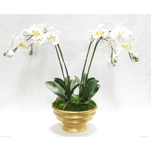 Load image into Gallery viewer, Resin Round Container Gold Leaf - White &amp; Yellow Orchid Artificial - 4 Stems
