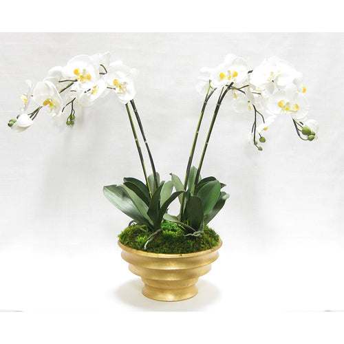 Resin Round Container Gold Leaf - White & Yellow Orchid Artificial - 4 Stems