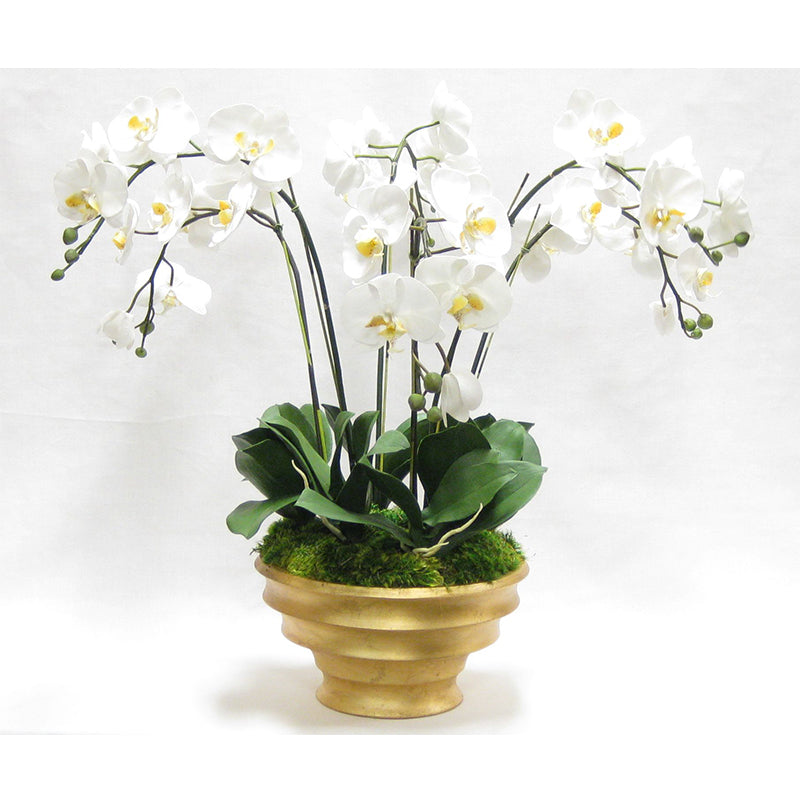 Resin Round Container Gold Leaf - White & Yellow Orchid Artificial - 6 Stems