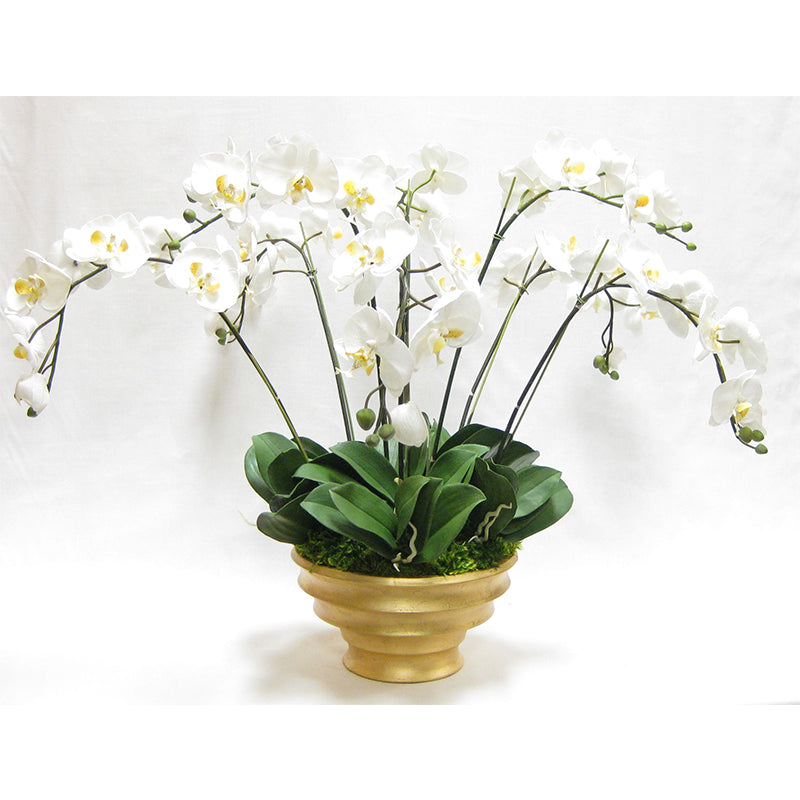 Resin Round Container Gold Leaf - White & Yellow Orchid Artificial - 8 Stems