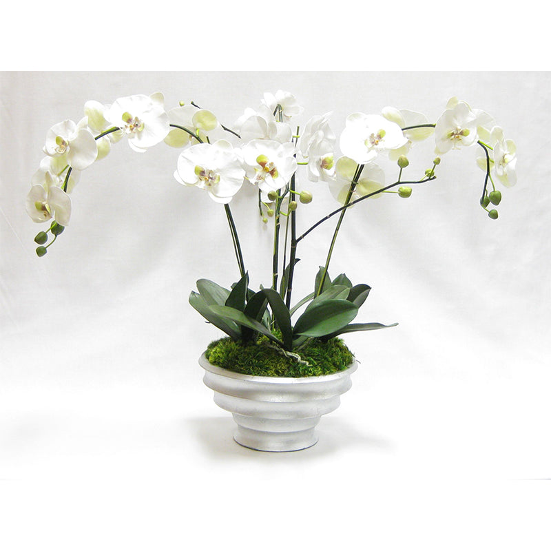 Resin Round Container Silver Leaf - White & Green Orchid Artificial - 4 Stems